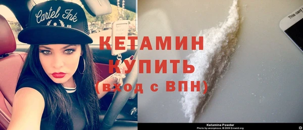 прущие крисы Бородино