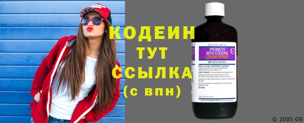 прущие крисы Бородино