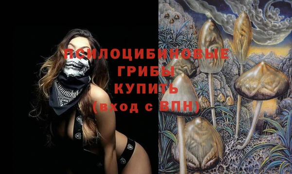 трава Бугульма