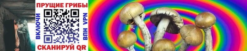 Псилоцибиновые грибы Cubensis  Ковылкино 